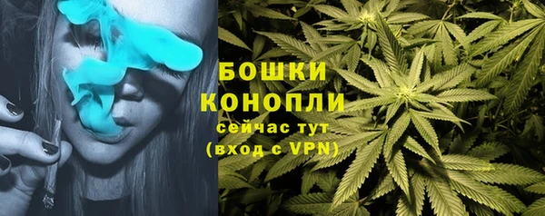 дурь Верхний Тагил