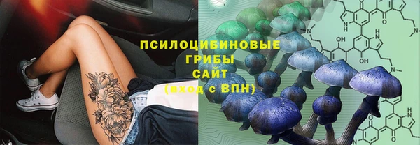 дурь Верхний Тагил