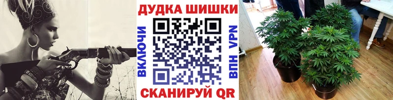 Купить закладки  Любим  Канабис SATIVA & INDICA 